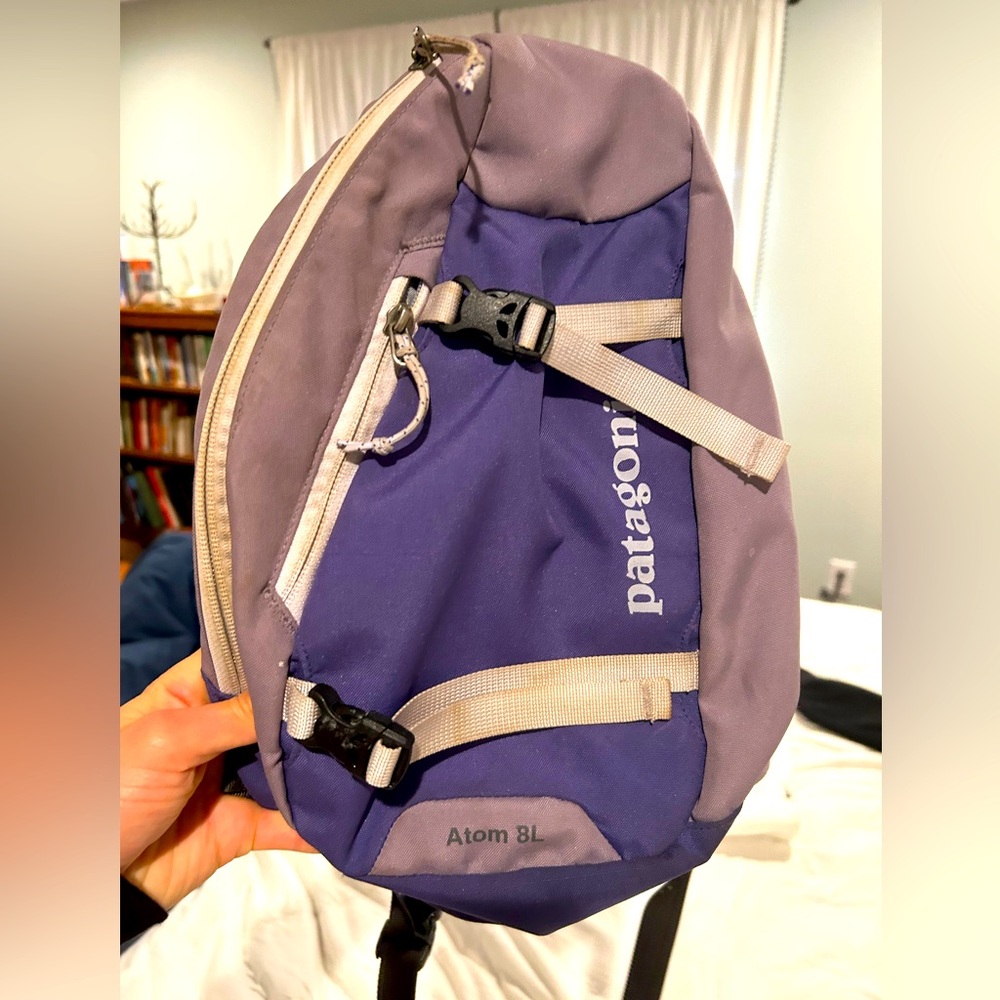EUC Patagonia 8L Mini Crossbody Backpack